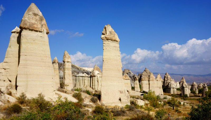 {short description of image}