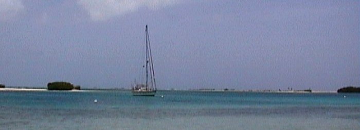 {short description of image}