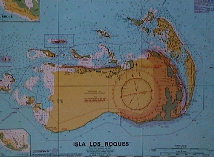 {short description of image}