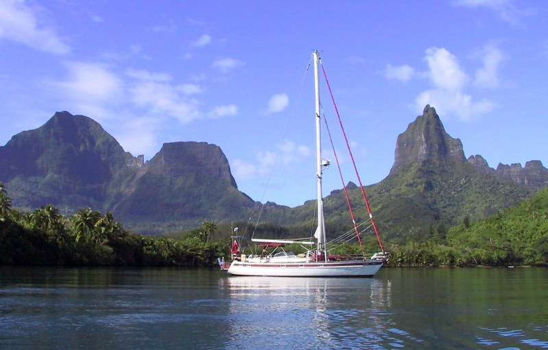 {short description of image}