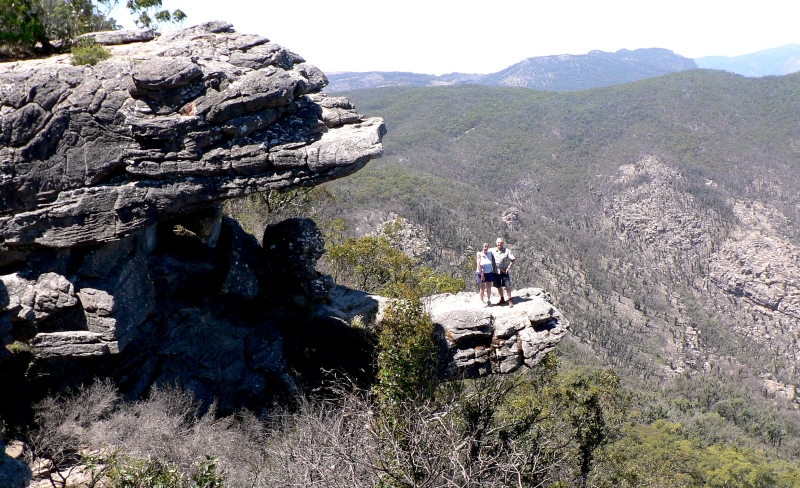 {short description of image}