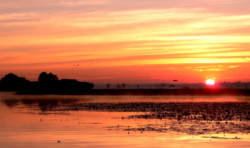 {short description of image}