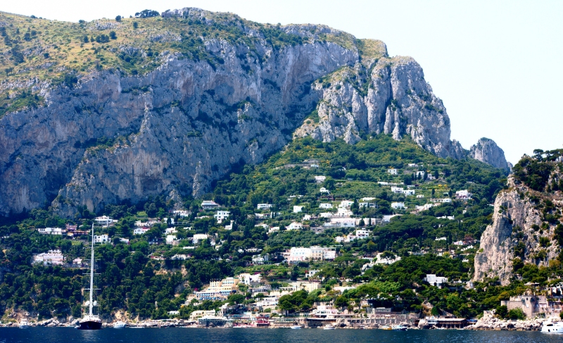 {short description of image}