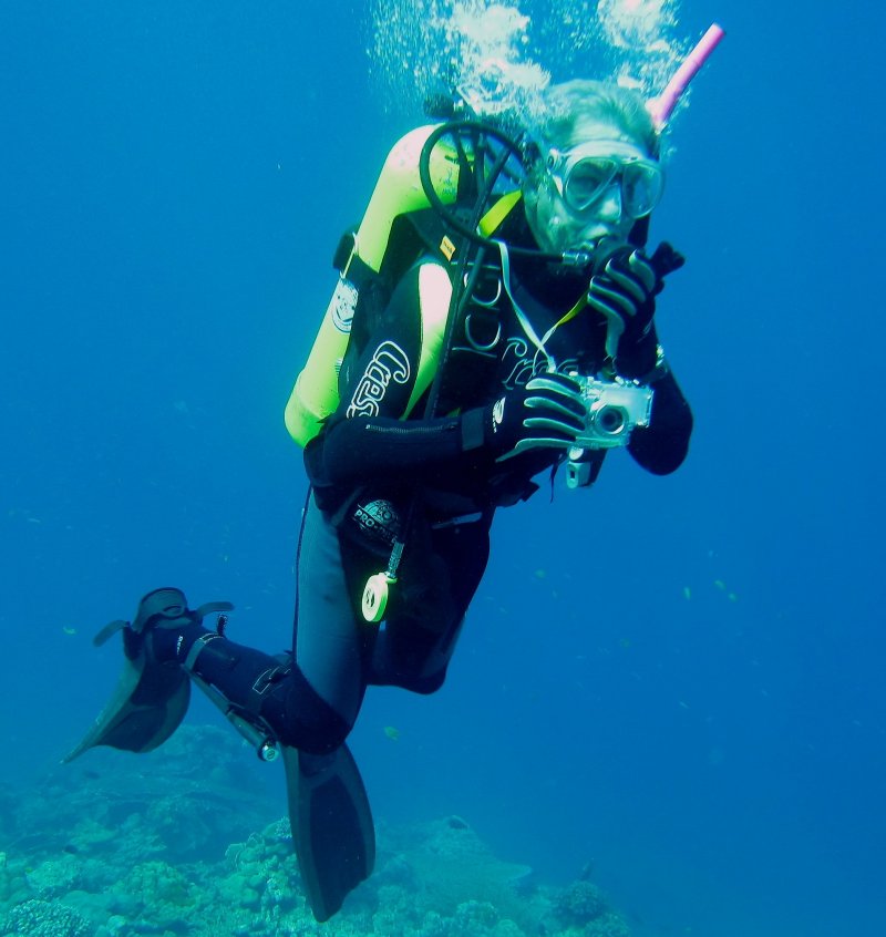 {short description of image}