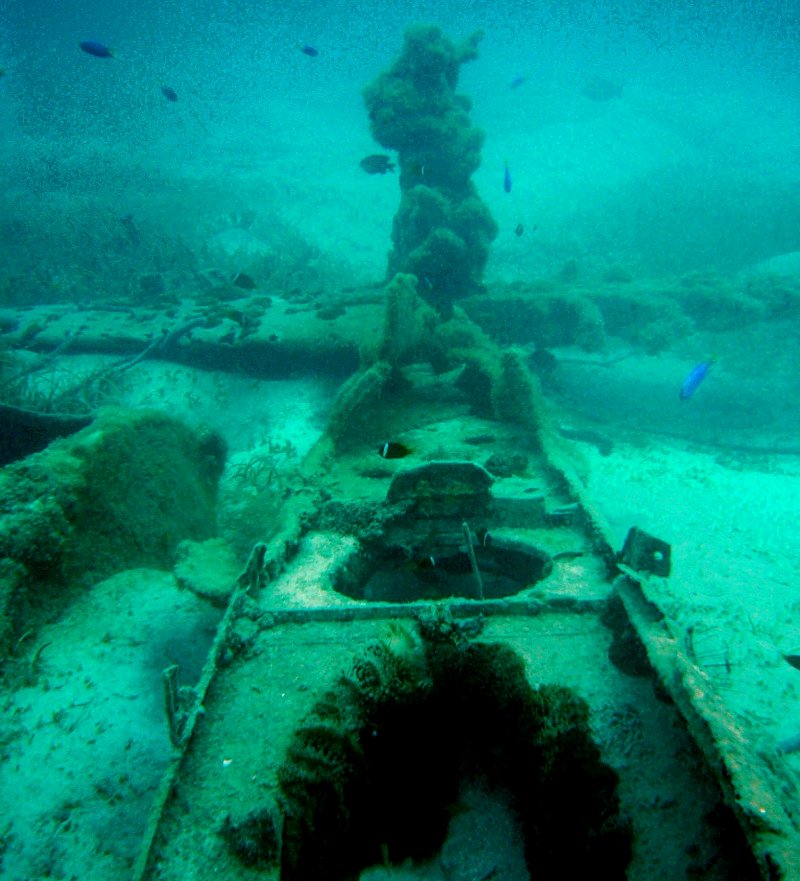 {short description of image}