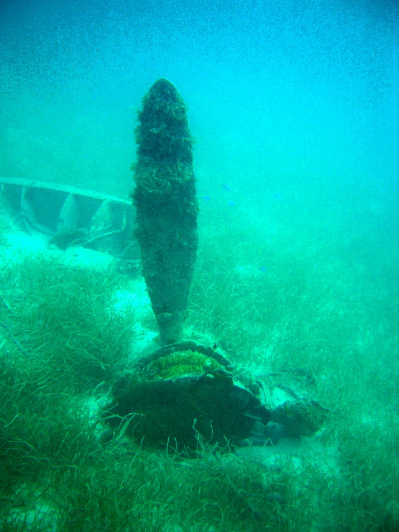 {short description of image}