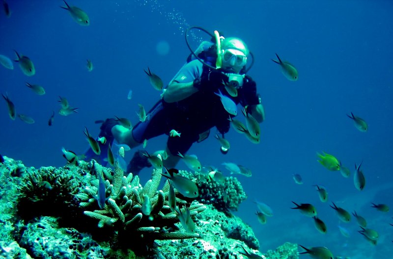 {short description of image}