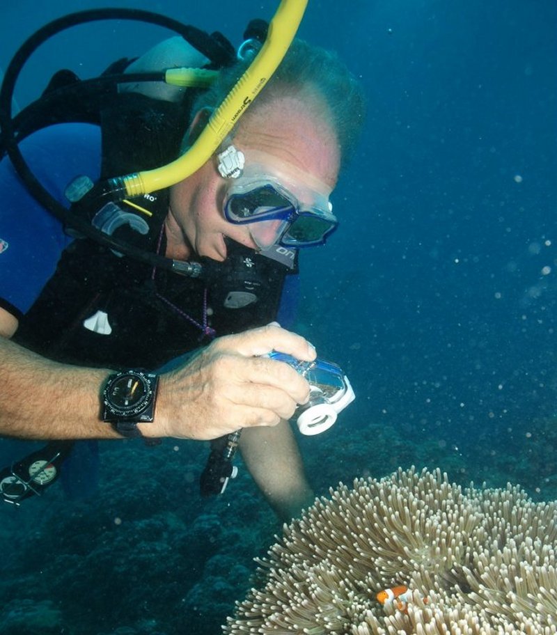 {short description of image}