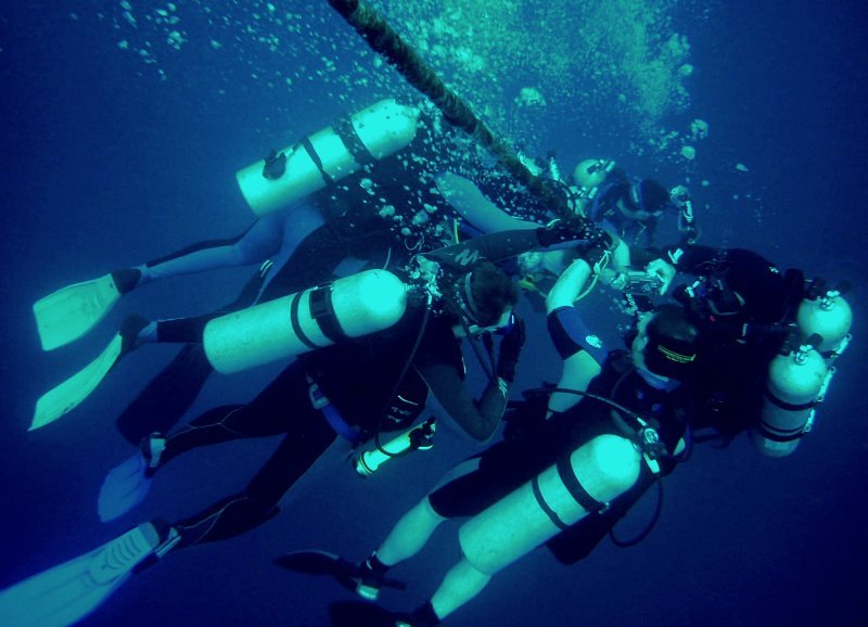 {short description of image}