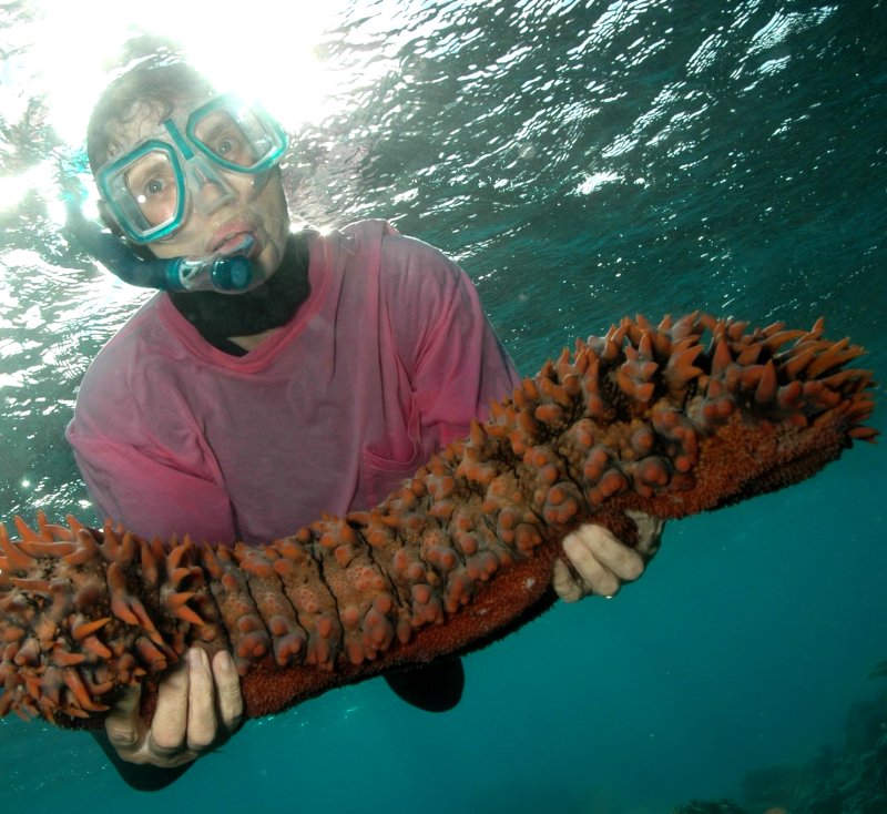 {short description of image}