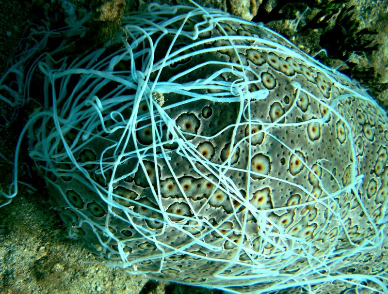 {short description of image}