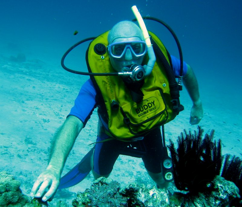 {short description of image}