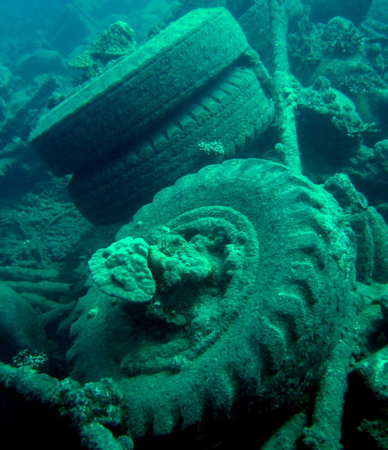 {short description of image}