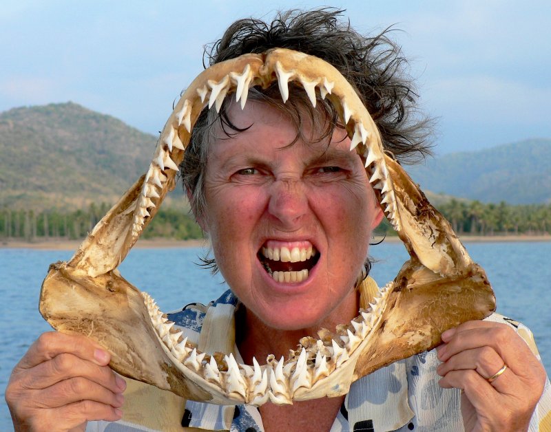 {short description of image}