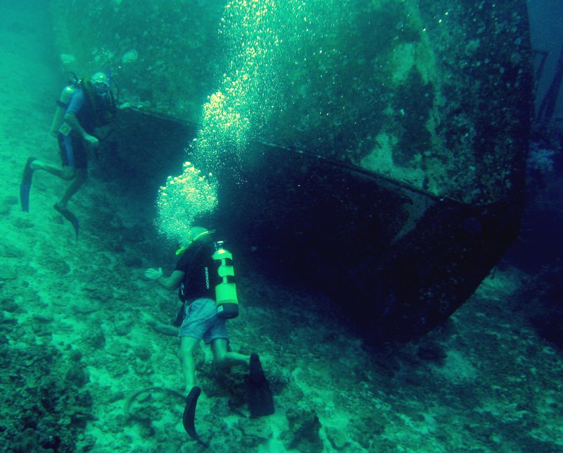 {short description of image}