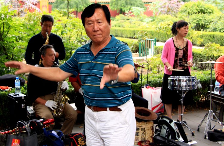 {short description of image}