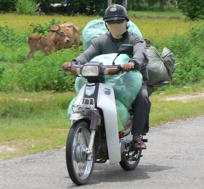 {short description of image}