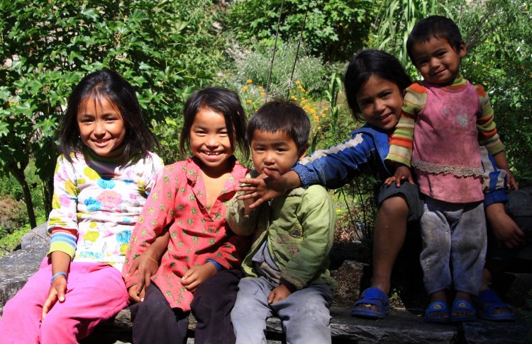 {short description of image}