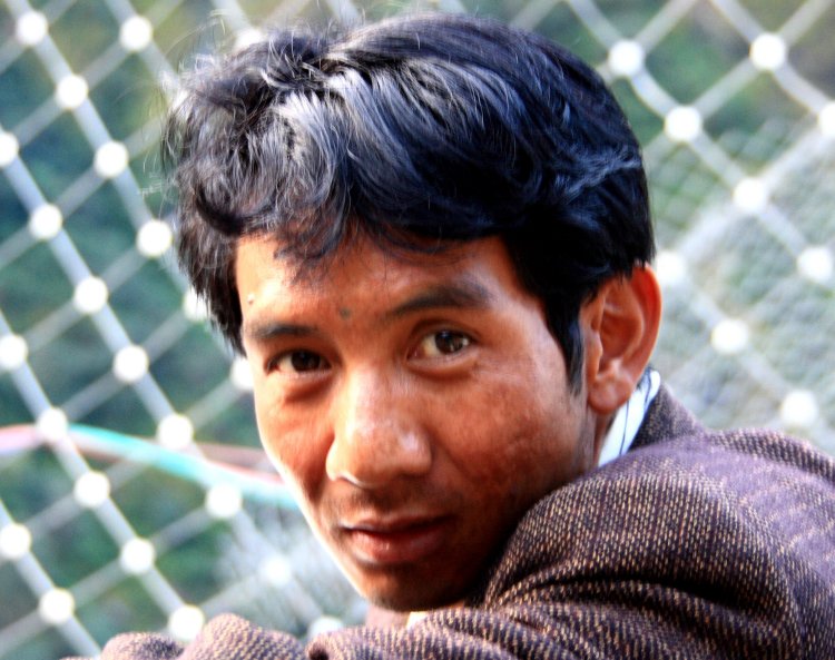 {short description of image}