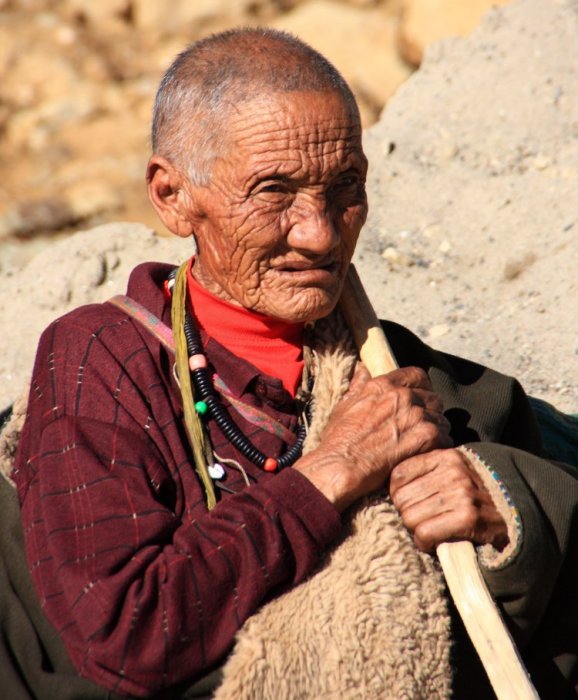 {short description of image}