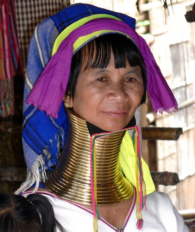 {short description of image}