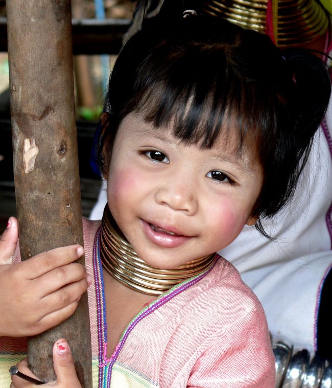 {short description of image}