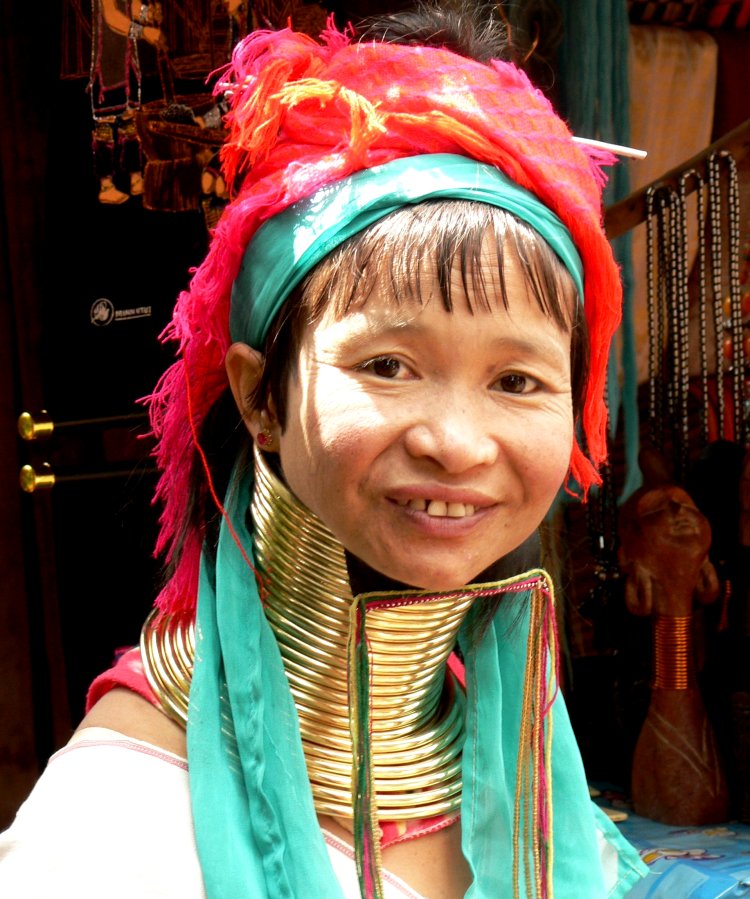 {short description of image}