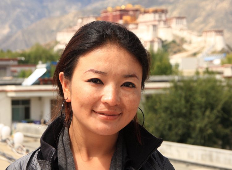 {short description of image}