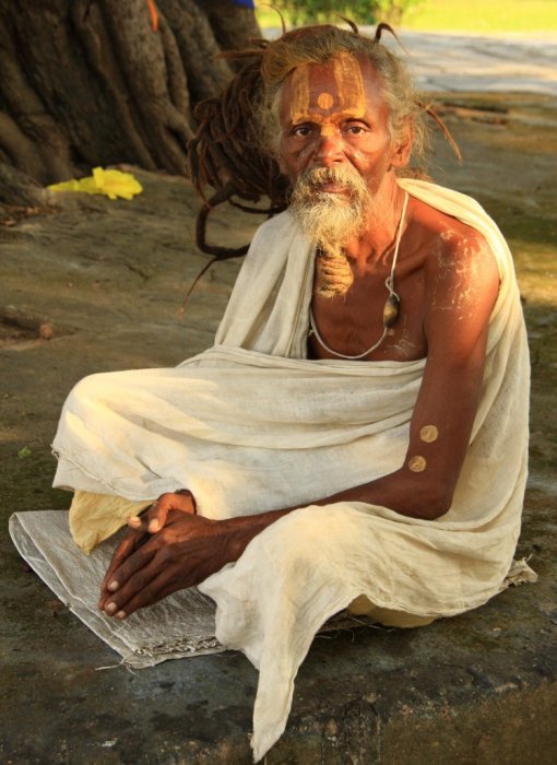 {short description of image}