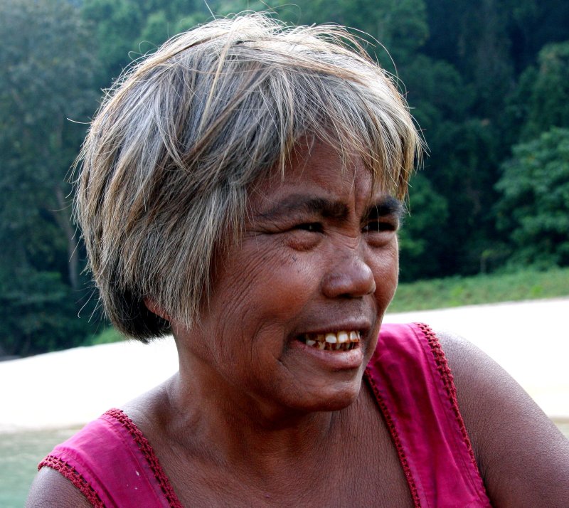 {short description of image}