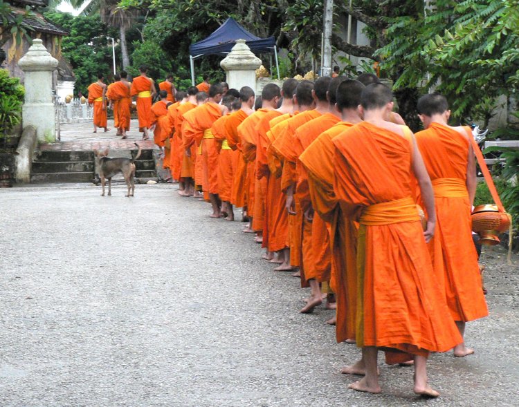 {short description of image}