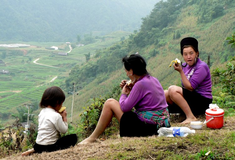 {short description of image}